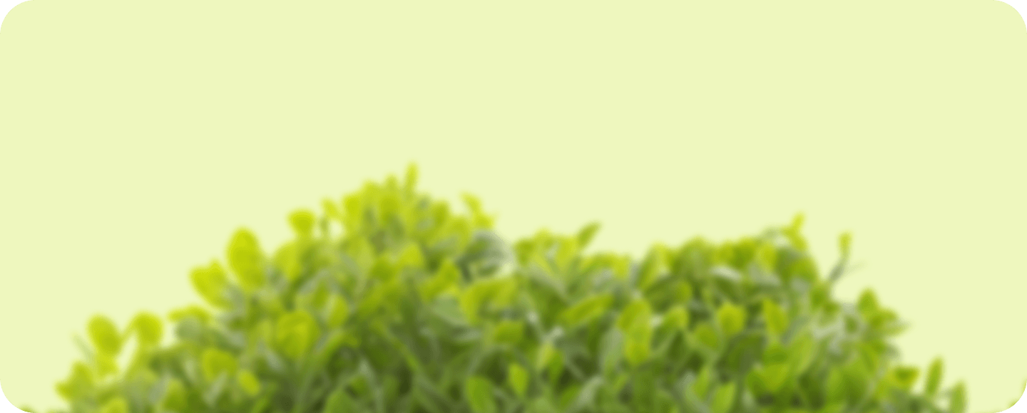 Community Background